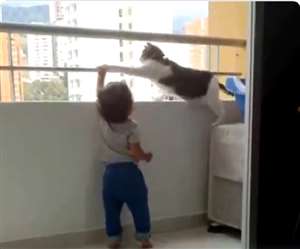 इस वीडियो में एक नन्हें बच्चे की शरारत देखने लायक है।