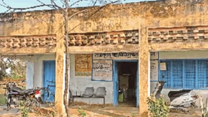 धीन के तालाब में गंदगी का ढेर, पशु अस्पताल भी जर्जर