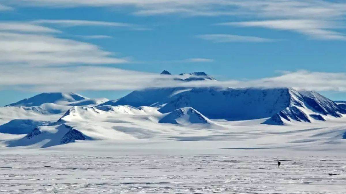 https://www.jagranimages.com/images/newimg/23012024/23_01_2024-arctica_23635930.jpg