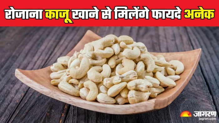 रोजाना काजू खाने के 5 फायदे (Picture Credit- Freepik)