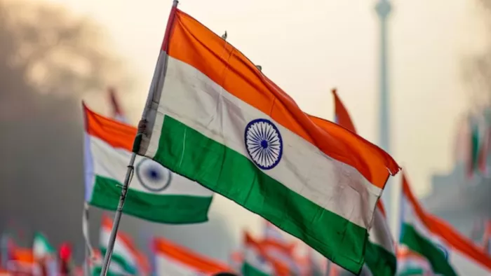 मुख्य अतिथि परेड की सलामी लेता है। ( Pic Courtesy : Freepik)
