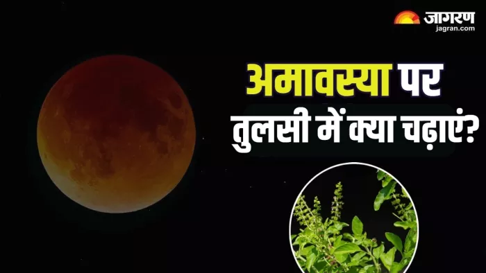 Mauni Amavasya 2025 तुलसी से संबंधित नियम।