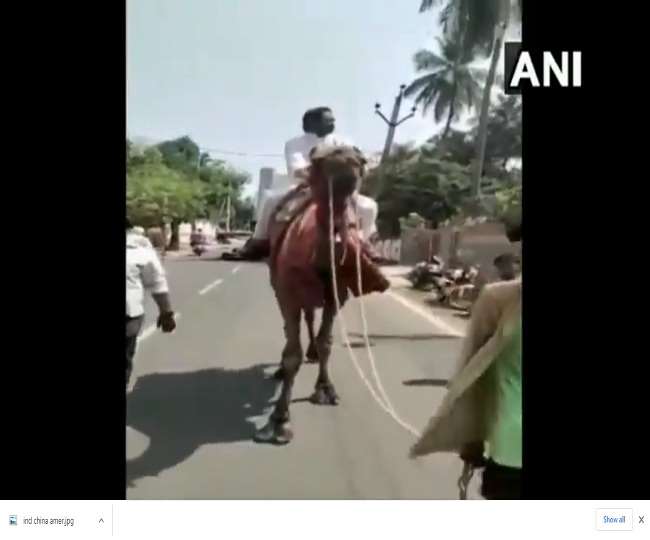 आंध्र प्रदेश: कांग्रेस नेता जीवी हर्ष कुमार ने बढ़ रहे तेल की दामों का किया विरोध, की ऊंट की सवारी