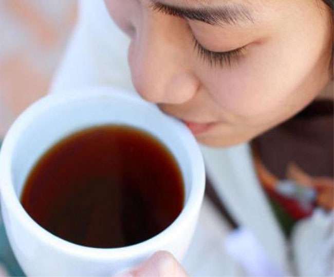 झारखंड में पूर्वी सिंहभूम के दलमा और घाटशिला के जंगल में घायल अवस्था में मिली दुर्लभ सिवेट कैट। जागरण