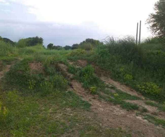 hcs kanwar singh restored who chargesheet in palwal land acquisition case