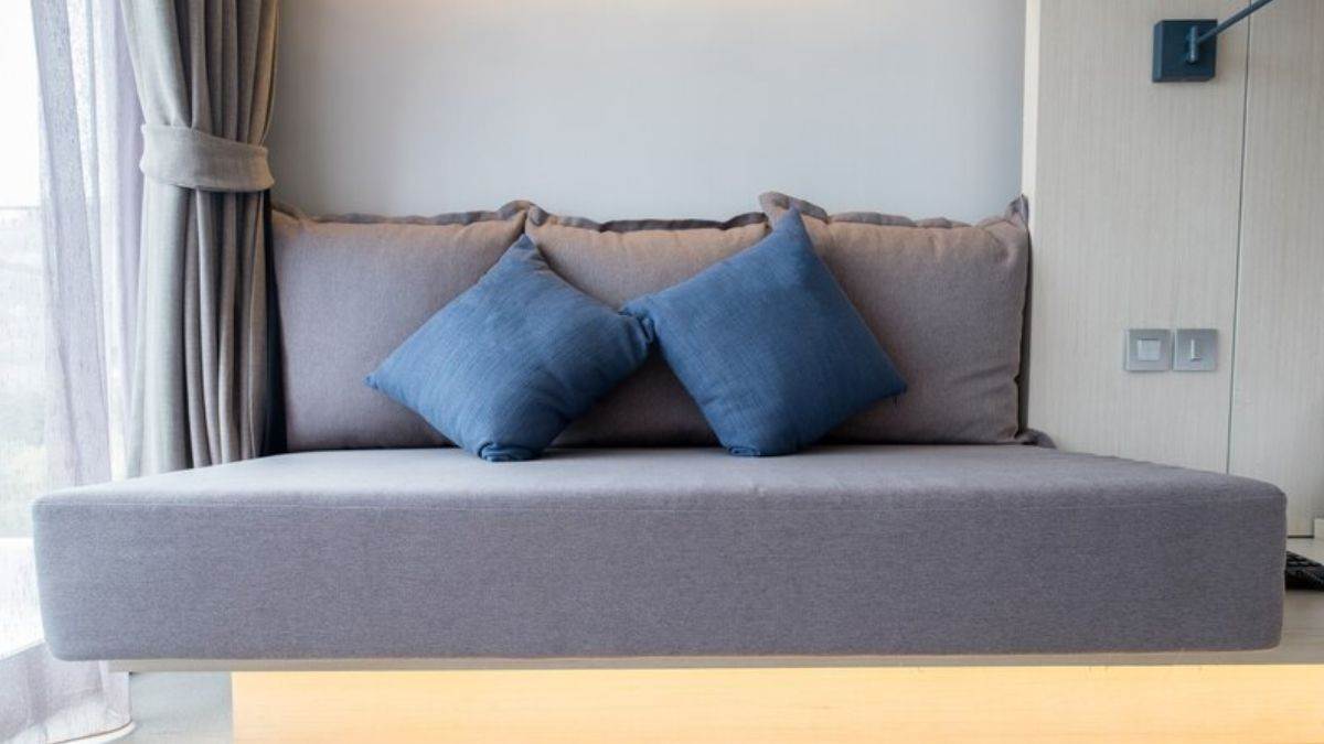 पैसा वसूल ऑफर! Sofa Cum Bed पर अमेजन ने दिया सबसे तगड़ा डिस्काउंट, आधी कीमत तक अभी करें ऑर्डर