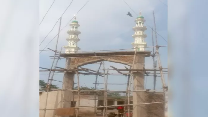 Jharkhand News: हजारीबाग में सरकारी स्कूल के प्रवेश द्वार पर बना दी 35 फीट ऊंची मीनार, शिक्षा विभाग भी मौन