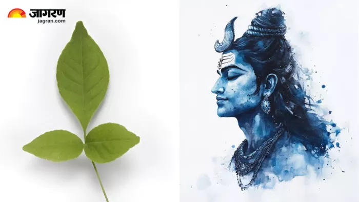 Bel Patra Benefits: रोजाना बेल पत्र खाने से सेहत में आएगा गजब का सुधार (Image Source: Freepik)