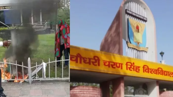 CCSU में दूसरी बार मधुमक्खियों के हमले में 25 घायल, पेट्रोल से डस्टबिन में आग लगाकर और कंबल ओढ़ाकर लोगों को बचाया - 25 Injured in Bee Attack at CCSU in 24 Hours Meerut ...