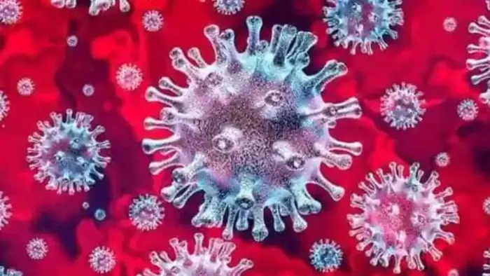 Norovirus के मामलों में हो रही बढ़ोतरी (फाइल फोटो)