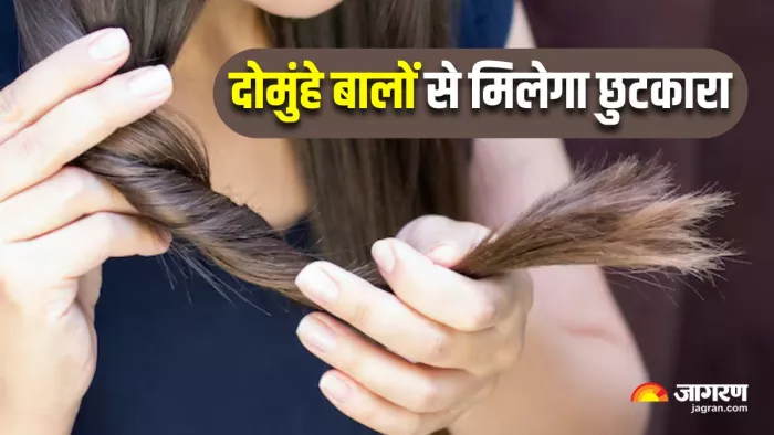 बालों को मजबूत बनाएंगे 5 Hair Care Tips, दोमुंहे बालों की समस्या होगी दूर (Image Source: Freepik)