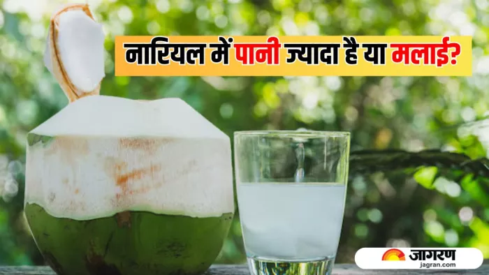 Tricks To Choose A Perfect Coconut: कैसे चुनें पानी वाला नारियल? (Image Source: Freepik)