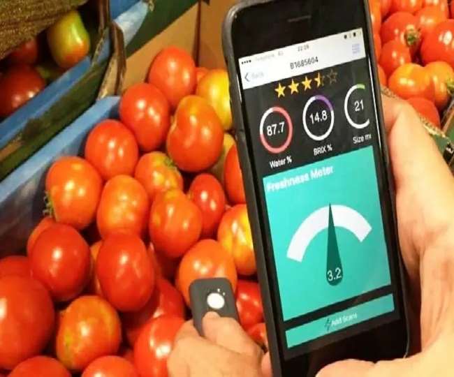 there will be a vegetable market for the farmers of bandra and aurai of muzaffarpur