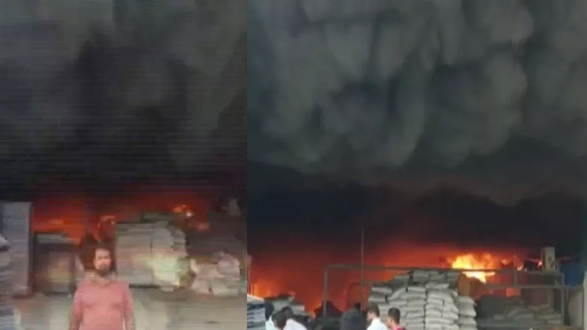Video: गुजरात के वलसाड में पैकेजिंग कंपनी में लगी भीषण आग, मौके पर दमकल की कई गाड़ियां मौजूद