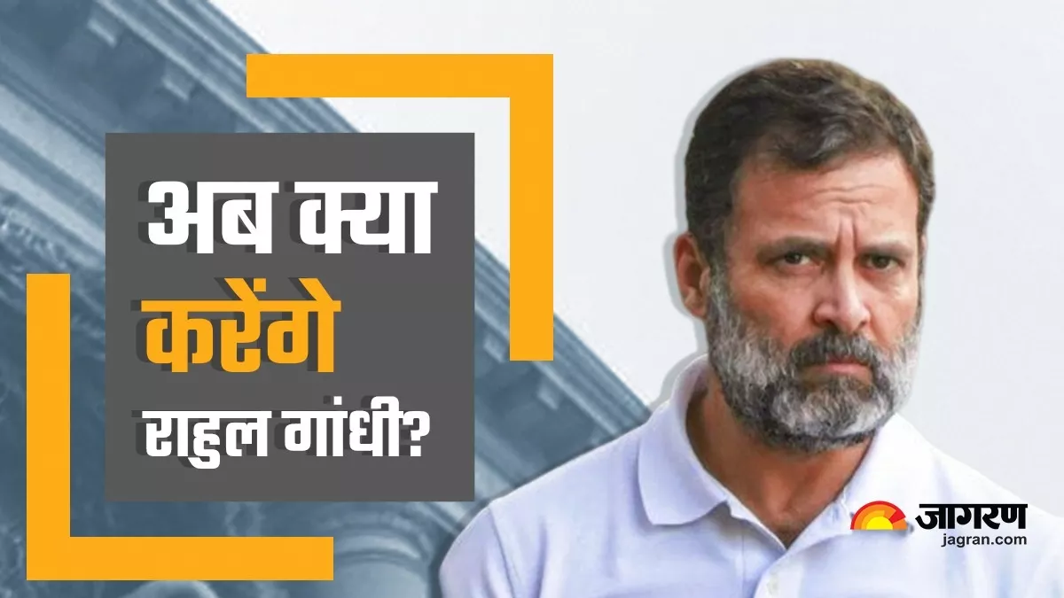 क्या अब राहुल की लोकसभा सदस्यता भी जाएगी? मोदी सरनेम विवाद में सजा के बाद कांग्रेस नेता के पास क्या हैं विकल्प