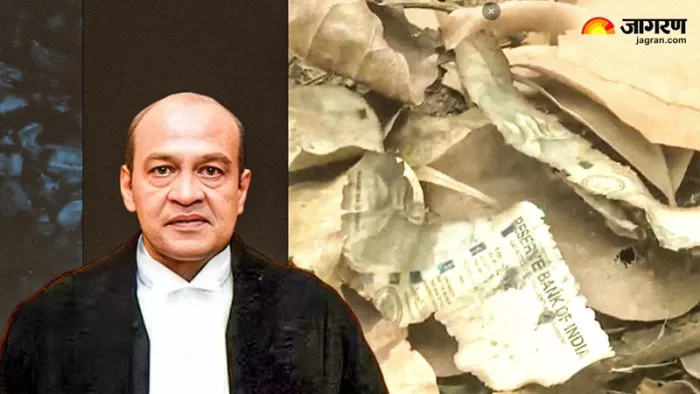 Justice Yashwant Verma के घर के पास 500 के आधे-अधूरे और फटी हालत में नोट पड़े।(फोटो सोर्स: एएनआई)