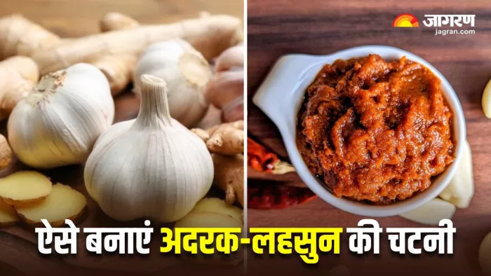 Ginger Garlic Chutney: घर पर बनाएं अदरक-लहसुन की स्वादिष्ट चटनी, बेहद आसान है इसकी रेसिपी (Image Source: Freepik)