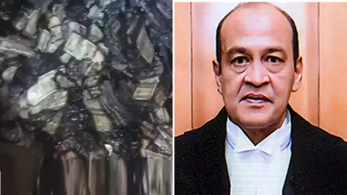 सुप्रीम कोर्ट ने जांच रिपोर्ट वेबसाइट पर डाली; जले नोटों की तस्वीरें भी जारी (फोटो- वीडियो ग्रैब)