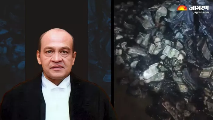 Justice Yashwant Varma Cash Row: जस्टिस यशवंत वर्मा के घर बरामद हुए नोटों के बंडल।(फोटो सोर्स: एएनआई)