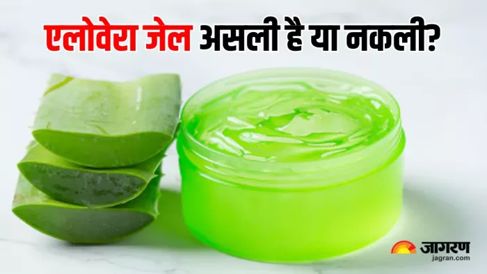 Real vs Fake Aloe Vera Gel: ऐसे करें असली और नकली एलोवेरा जेल की पहचान (Image Source: Freepik)