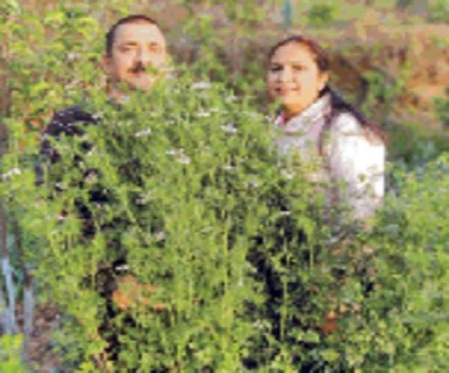 News Article Hero Image