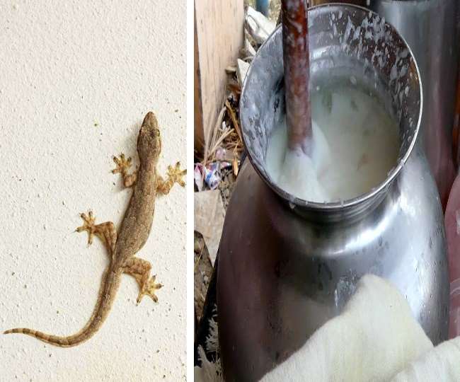 जींद में जहरीली लस्सी पीने से दो की मौत।