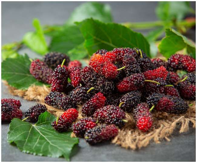 5 benefits of eating mulberry in summer season