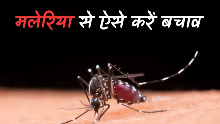 मलेरिया मच्छरों से होने वाली एक आम लेकिन गंभीर बीमारी है।