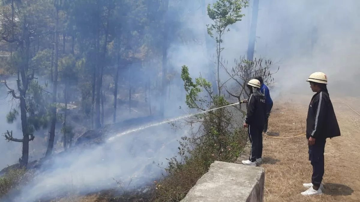 Uttarakhand Forest Fire: हर दिन जल रहे जंगल, पर्यावरण के लिए खतरा; अब वन विभाग ने उठाया बड़ा कदम