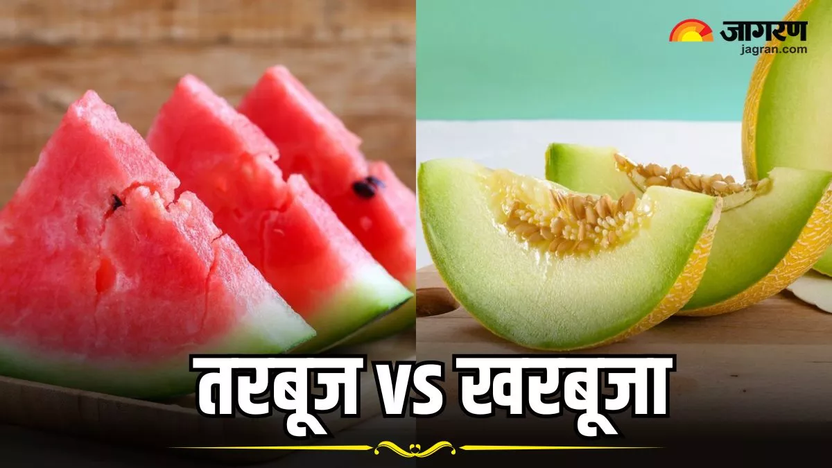 Watermelon vs Muskmelon: तरबूज खाएं या खरबूजा, गर्मियों में सेहत के लिए क्या है ज्यादा अच्छा?