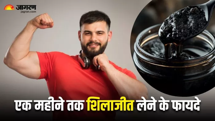 अगर आप 30 दिनों तक शिलाजीत लेते हैं तो क्या होगा? (Image Source: Freepik)