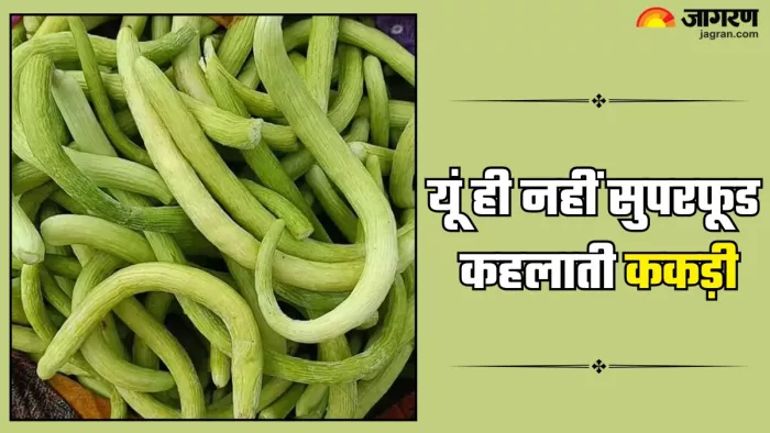 सेहत के लिए वरदान है ककड़ी (Picture Credit- Instagram)