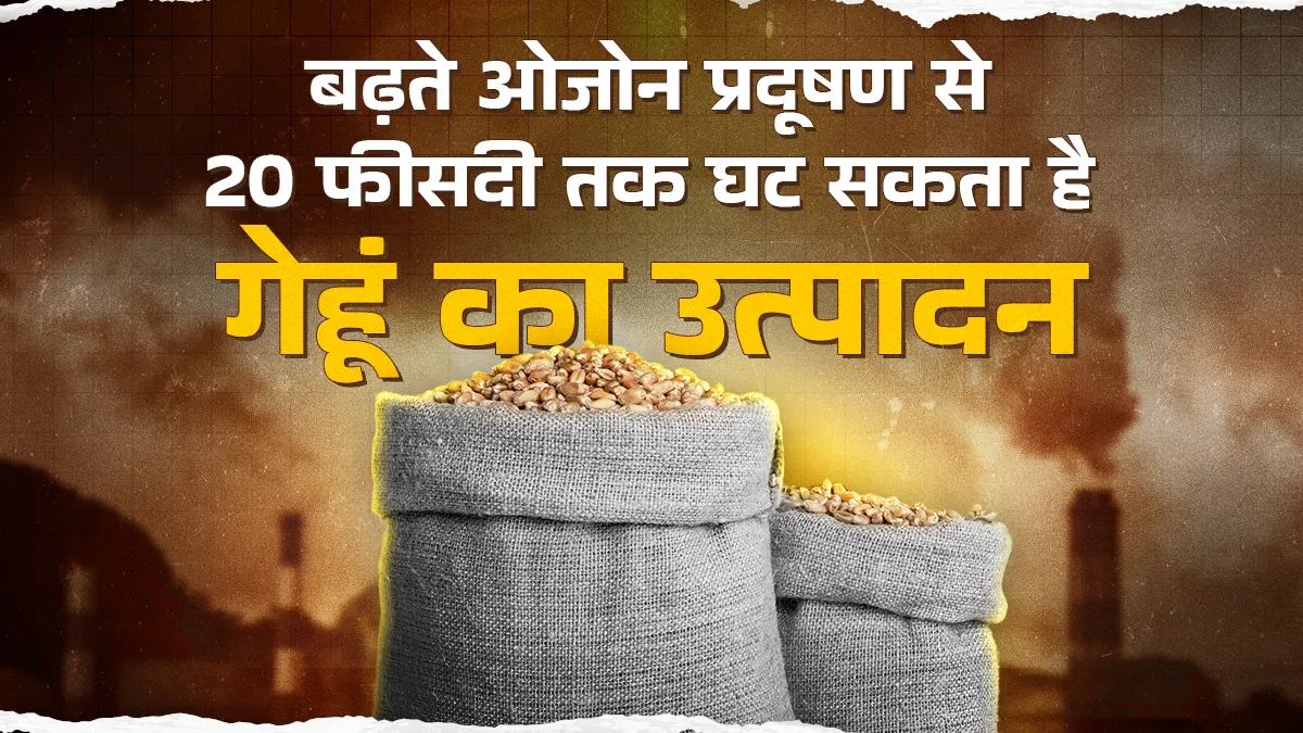 ओजोन का बढ़ता प्रदूषण पैदा कर सकता है खाद्यान्न संकट, फसलों को पहुंचाता है भारी नुकसान