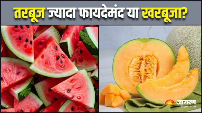 गर्मियों में तरबूज खाएं या खरबूजा, किससे मिलता है सेहत को ज्यादा फायदा? (Image Source: Freepik)