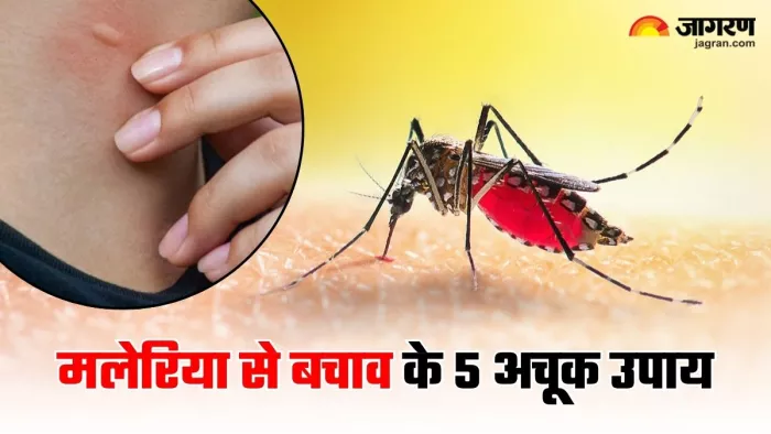 World Malaria Day 2025: मलेरिया से बचाव के लिए अपनाएं 5 टिप्स (Image Source: Freepik)
