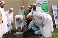 पौधे लगाकर दाउदी बोहरा समाज ने मनाई ईद