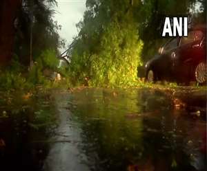 Weather Update: दिल्ली-एनसीआर में आंधी के बाद झमाझम बारिश, सड़क किनारे गिरे पेड़; IMD ने दो दिन के लिए जारी किया अलर्ट