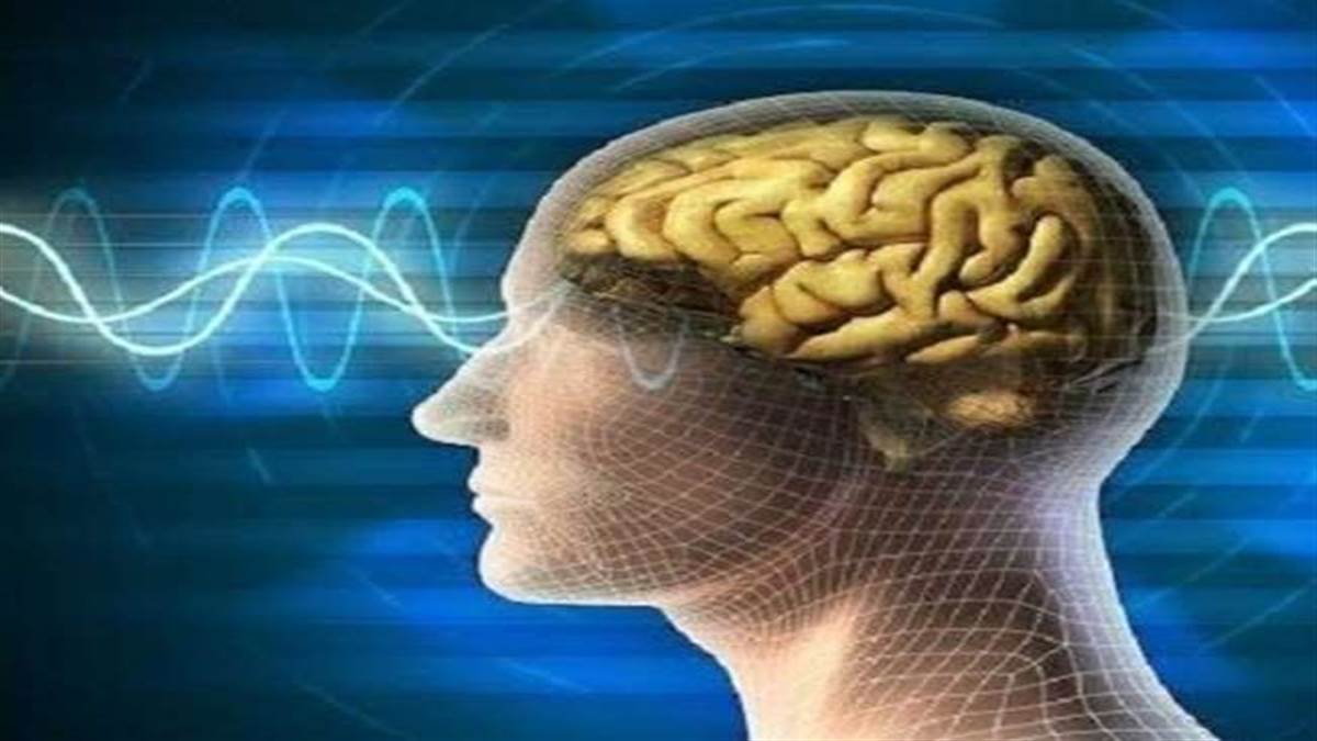 World Schizophrenia Day 2021 मनोवैज्ञानिक डा. ईशान्या राज ने कहा कि सिजोफ्रेनिया बीमारी काे लेकर भ्रांतियां न पालें।