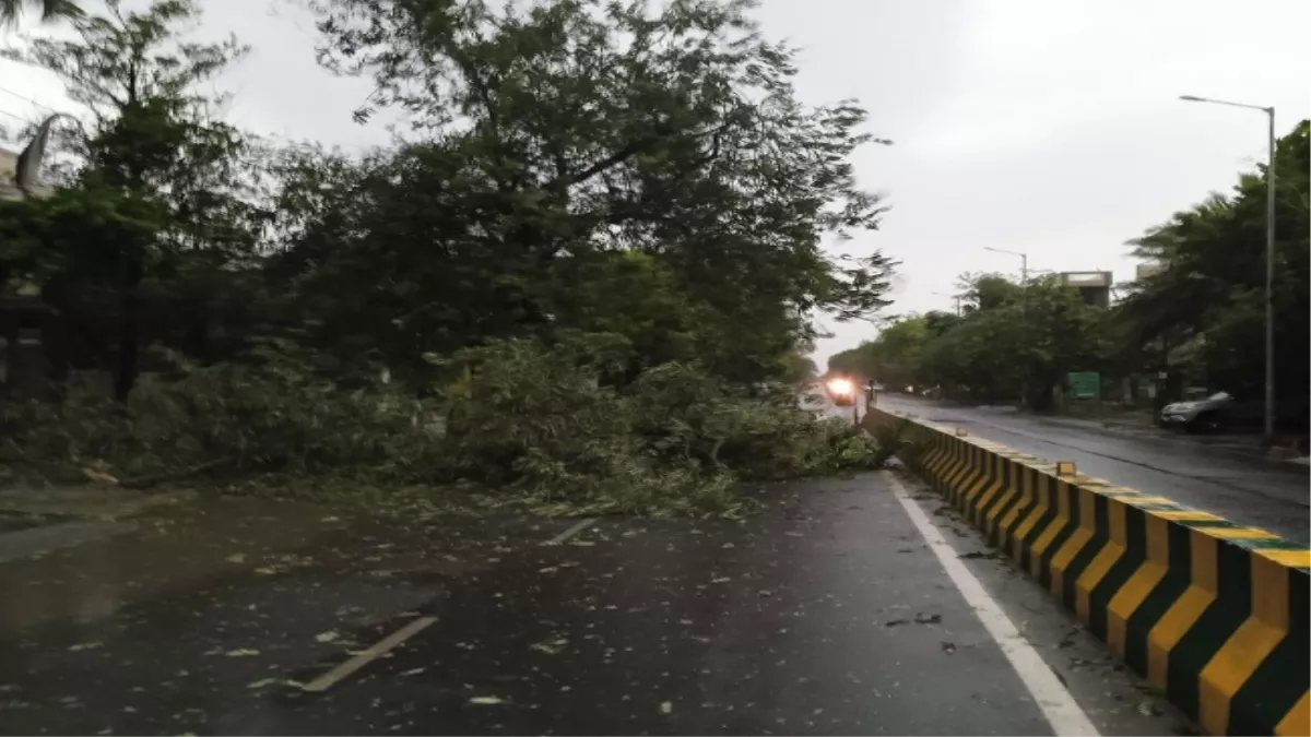 UP Weather Update: नोएडा में तेज हवा के साथ प्री मानसून बारिश ने दी गर्मी से राहत, कई जगह पोल और पेड़ गिरे