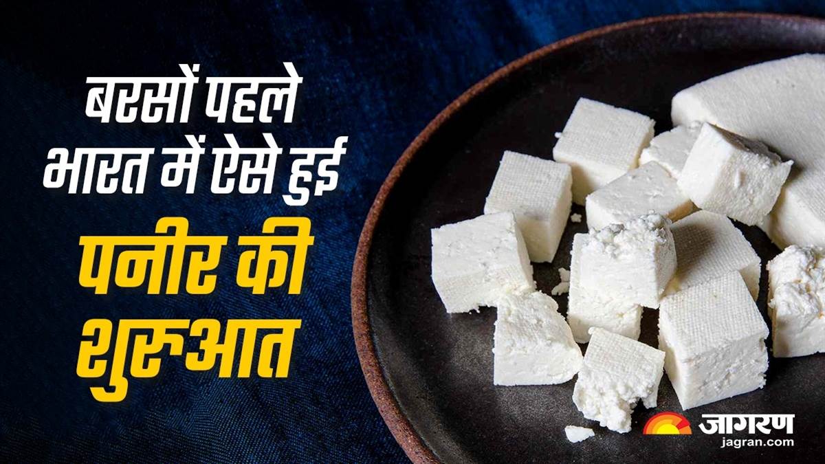 Paneer History आपका पसंदीदा पनीर आखिर कैसे पहुंचा भारत? how paneer