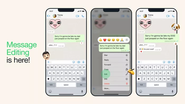 WhatsApp Edit Message feature For iOS And Android Users, Pic Courtesy- WhatsApp