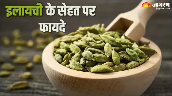 Cardamom Benefits: इलायची से सेहत को फायदे। (Picture Credit: Freepik)