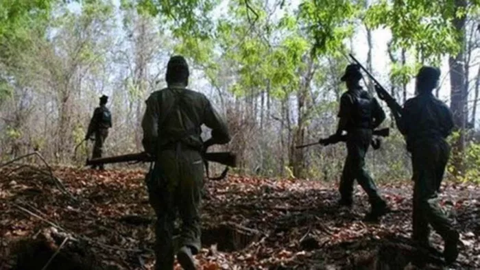 मुठभेड़ के बाद घटनास्थल से हथियार-कारतूस बरामद। (सांकेतिक फोटो)