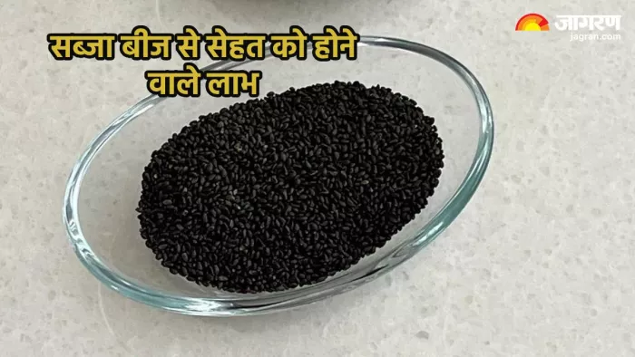 सब्जा बीज से सेहत को होने वाले फायदे (Pic credit- shagunkhanna/Instagram)