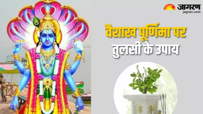 Vaishakh Purnima Tulsi Upay वैशाख पूर्णिमा पर जरूर करें तुलसी से जुड़े ये उपाय।