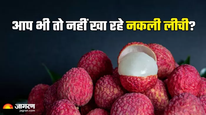 ऐसे करें नकली लीची की पहचान (Picture Credit- Freepik)