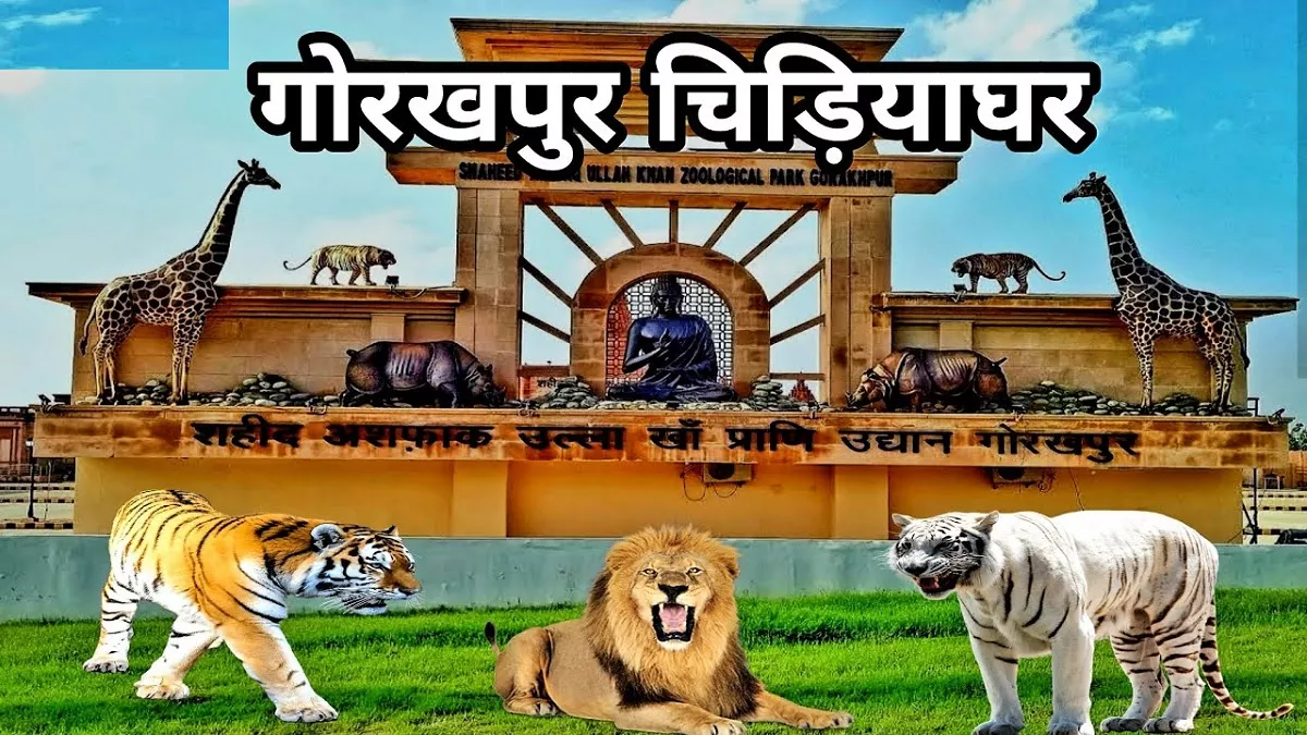 गोरखपुर चिड़ियाघर में बर्ड फ्लू फैला, तेंदुए के दो शावक और बाघिन समेत सात जीव संक्रमित