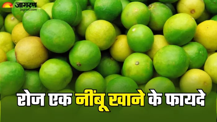 रोजाना एक नींबू खाने से मिलेंगे फायदे अनेक (Picture Credit- Freepik)