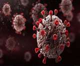 डेल्टा प्लस के खतरे का अंदाजा लगाना होगा मुश्किल। फाइल फोटो।