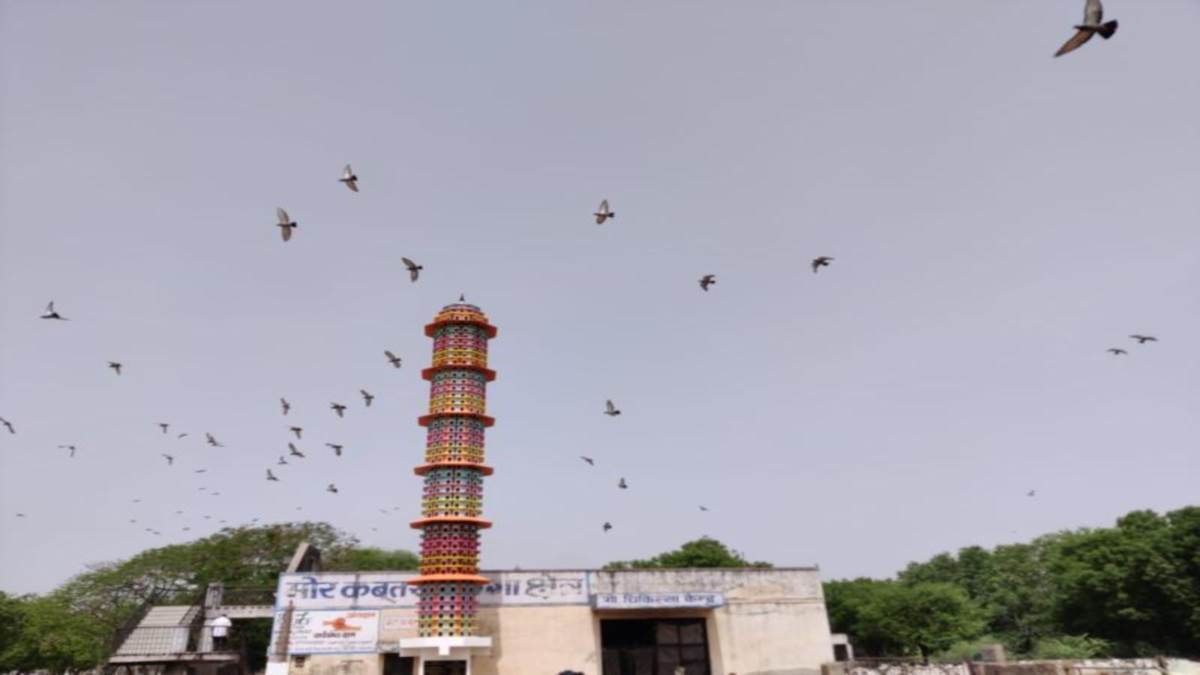 जयपुर के पिंजरापोल गौशाला में बना पक्षीघर। फोटो-जागरण